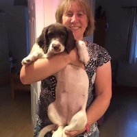 Miss Sullivan (@misssullivan06) 's Twitter Profile Photo Miss Sullivan (@misssullivan06) 's Twitter Profile Photo