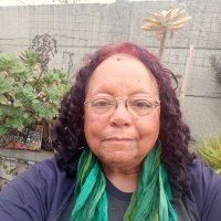 Diana Ferrus (@ferrusd) 's Twitter Profile