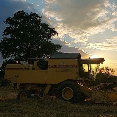 20h121's profile picture. 