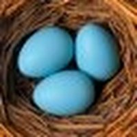 FAFOUNET " Il faut avoir faim pour bien mordre "😁 (@turquoiseinno) 's Twitter Profile Photo FAFOUNET " Il faut avoir faim pour bien mordre "😁 (@turquoiseinno) 's Twitter Profile Photo