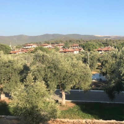 etahillioglu's profile picture. 