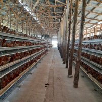 DEM FARM (@farmdem) 's Twitter Profile Photo DEM FARM (@farmdem) 's Twitter Profile Photo