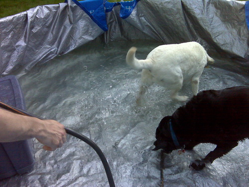 CntryMumSC's profile picture. Stay-at-home Mom to 3 boys. Love my kids, dogs, horses, country music, travelling, nascar and football.