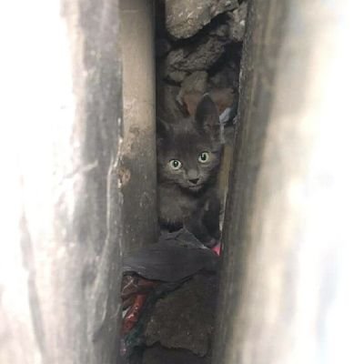 MTKIrad's profile picture. Que comience el juego!