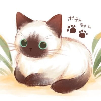 ポテト🐾猫垢