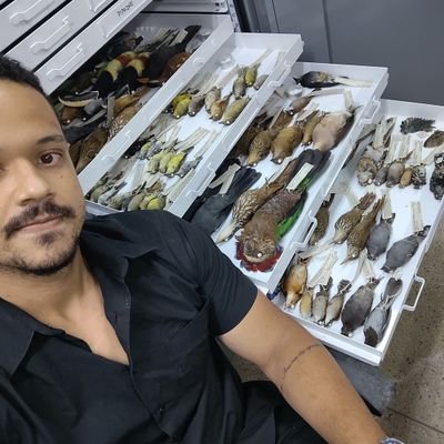 Recife 📍- Naturalist interested in understanding biodiversity!
Professor in UNIBRA, PhD student at PPGEtno - UFRPE and member of @ornitolab_ufpe