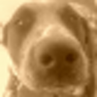 Menagerie (@menagerietree) 's Twitter Profile