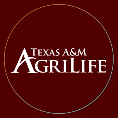 The official home for Texas A&M AgriLife. Includes @txextension, @txresearch, @aglifesciences, @tvmdl & @txforestservice.
https://t.co/TEwqqaIVjG