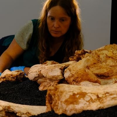 MontSaBo's profile picture. Ramon y Cajal researcher at @SerpUnivBarcel