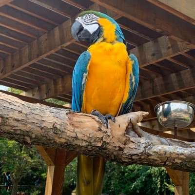 Eckmanfamily5's profile picture. 