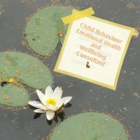 Emotional Health & Well-Being 1:1 (@1_2_1_cheshire) 's Twitter Profile