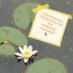 Emotional Health & Well-Being 1:1 (@1_2_1_cheshire) Twitter profile photo Emotional Health & Well-Being 1:1 (@1_2_1_cheshire) Twitter profile photo