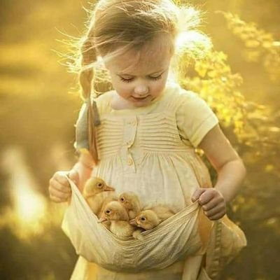 Nda4700's profile picture. 