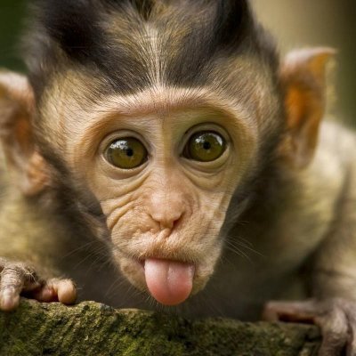 spank_r6's profile picture. 