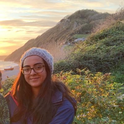 SoftwarEnginr's profile picture. A Software Engineer. Encouraging women into engineering! #coding #programming #Engineering #womenInSTEM #womenInEngineering