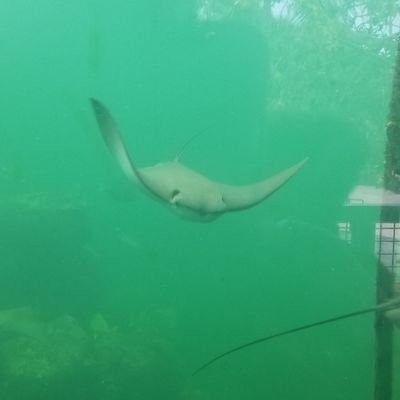 Kmreid7's profile picture. SE DC Finest Rocking to Go-Go