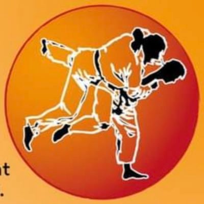 Fan de manga depuis le plus jeune âge / Tombé dans le judo🥋 Chef d’entreprise dans le jeu vidéo