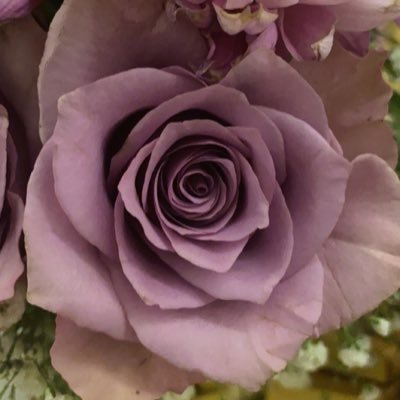 MeeeM00001's profile picture. التكنولوجيا