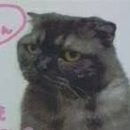 Mimi__naito's profile picture. 新日本プロレス❣️FREEDOMS😆他団体も！
El Desperado選手✨渡辺リングアナ✨
ロイスアイザックス✨ミとかぴぃ✨DROKEES 💥YANAI-RING💥
翼レフェリー໒꒱
シンガーソングライター写楽さん✨無言フォロー致します事どうぞお許しくださいませ🙏