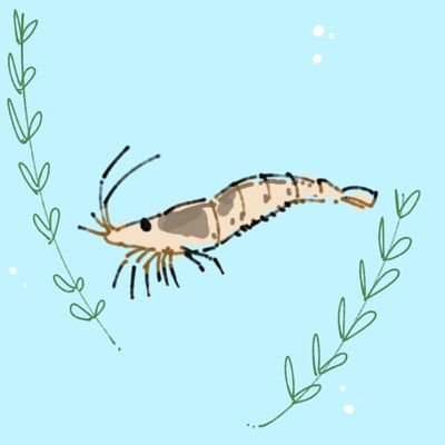 らんさんのプロフィール画像