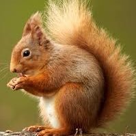 ll49656952's profile picture. British, white and proud. No apology required. Hobbies fishing and making Remainers cry. Lost all followers. Just here for the laughs now.