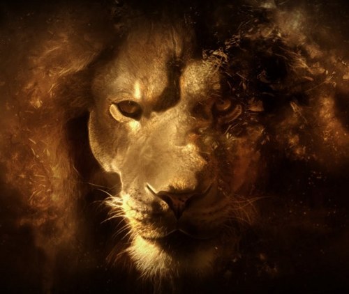 jdchanm's profile picture. 