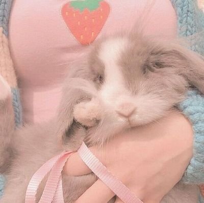 dailybunnys's profile picture. ⠀⠀⠀⠀⠀⠀. . . conejos = 🏡🌍⠀⠀⠀⠀⠀⠀⠀⠀
admin: she/he ᓚᘏᗢ