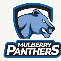 MHS Athletics(@MulberryVarsity) 's Twitter Profile Photo