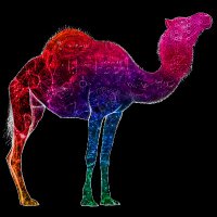 CAMELS project (@camels_project) 's Twitter Profile Photo CAMELS project (@camels_project) 's Twitter Profile Photo