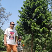 Kamal Raj Sigdel (@kamalrajsigdel) 's Twitter Profile Photo Kamal Raj Sigdel (@kamalrajsigdel) 's Twitter Profile Photo