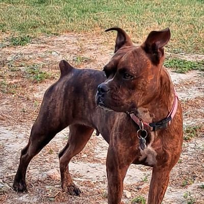 Eduardo56364574's profile picture. family first.