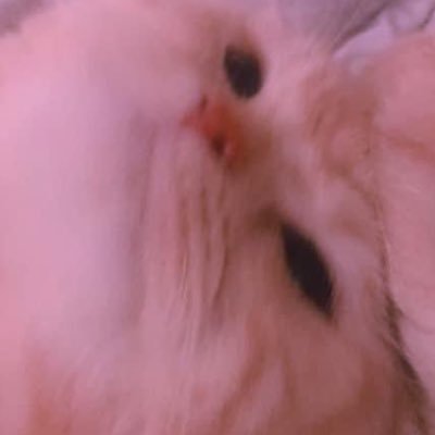 Maleeba2's profile picture. 