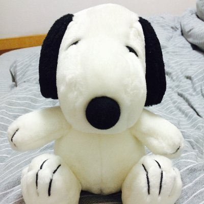 Jessica88351300's profile picture. 空投信息，撸毛信息，测试网交互