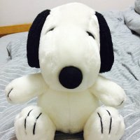 0xweb3 (@jessica88351300) 's Twitter Profile Photo 0xweb3 (@jessica88351300) 's Twitter Profile Photo