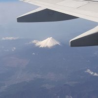 とよっち (@yo75ra) 's Twitter Profile
