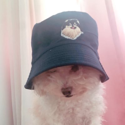 SaintSanOo's profile picture. ig: @hana.dul.saint