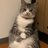 わさびちゃんのTwitterプロフィール画像