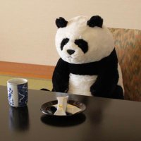しーぱんだ (@cpandasan) 's Twitter Profile
