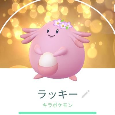 のんびりポケモンGOしてます。赤チーム🔥TL46です！😆推しはラッキーさんとメタモンさん✨
最近推しのポケカが気になってきました🤔