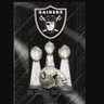 mikeemadeulook's profile picture. #Raidernation