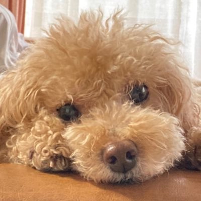 そらさんのプロフィール画像