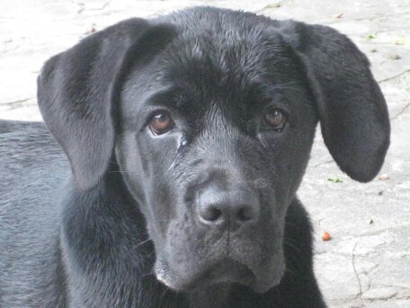 jjalmeidaneto70's profile picture. 