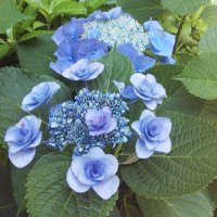 のの (@8rio03) 's Twitter Profile