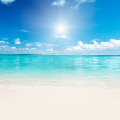 dbergsdnp's profile picture. Wife, Mother, Dog Mom, 🙏🏼❤️America❤️🙏🏼