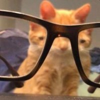 Korbeno (@hardkorkid) 's Twitter Profile