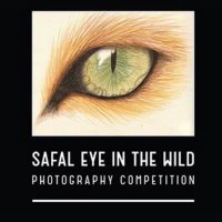 Eye In the Wild(@TheSafalEITW) 's Twitter Profile Photo