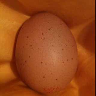 binkyboobar's profile picture. T21 parent, lover of cheese 🧀