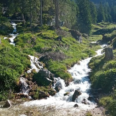 MarcoGiulia336's profile picture. Sono veneto e fiero di esserlo