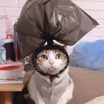 a_banla's profile picture. If I have seen further, it is by standing on the shoulders of giants.