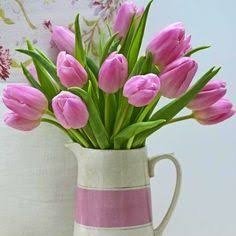 carmelaoliv's profile picture. 